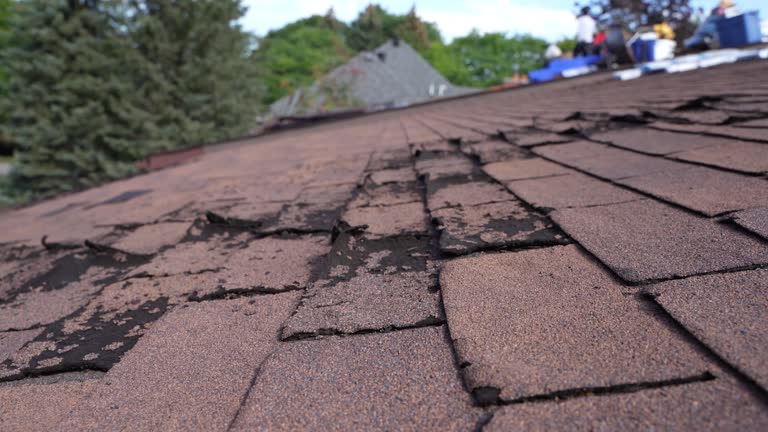 Best Sheet Metal Roofing  in Tamaqua, PA